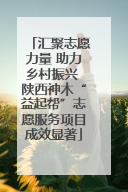 汇聚志愿力量 助力乡村振兴 陕西神木“益起帮”志愿服务项目成效显著